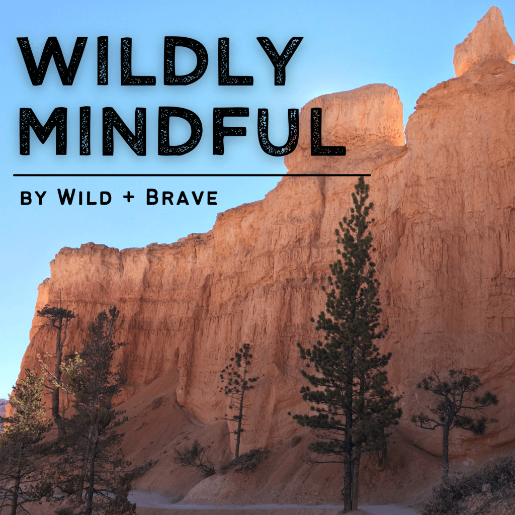 Wildly Mindful Podcast - Wild + Brave